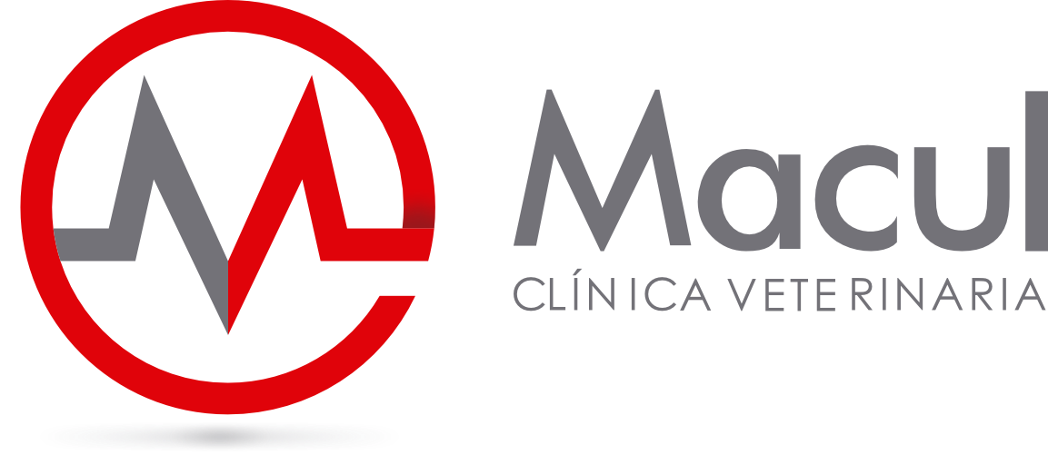 branding logo...