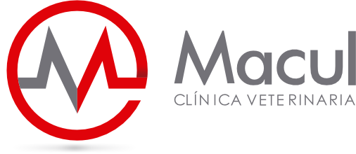 branding logo